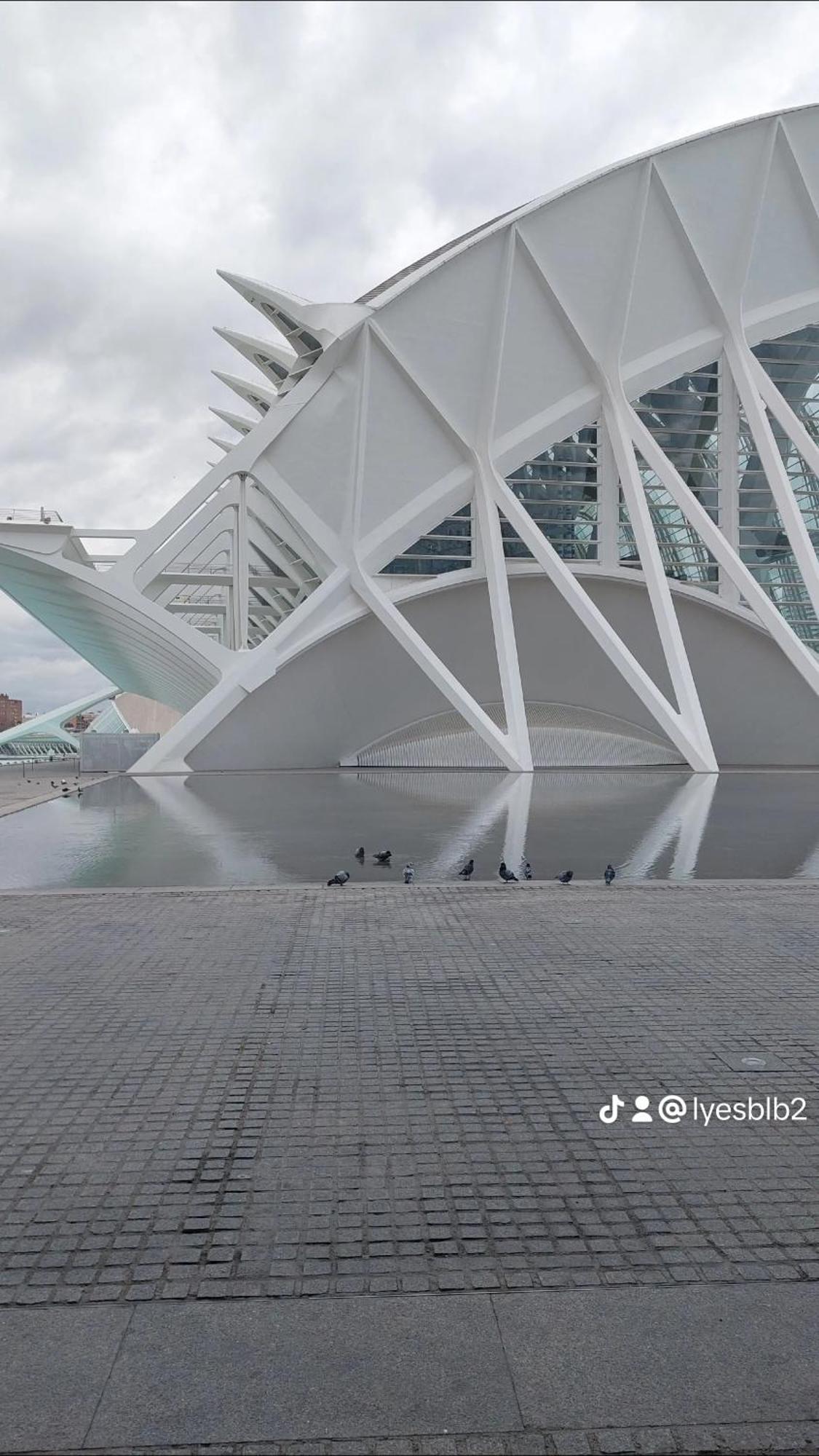 Lyesblb Aparthotel Valencia Exteriör bild