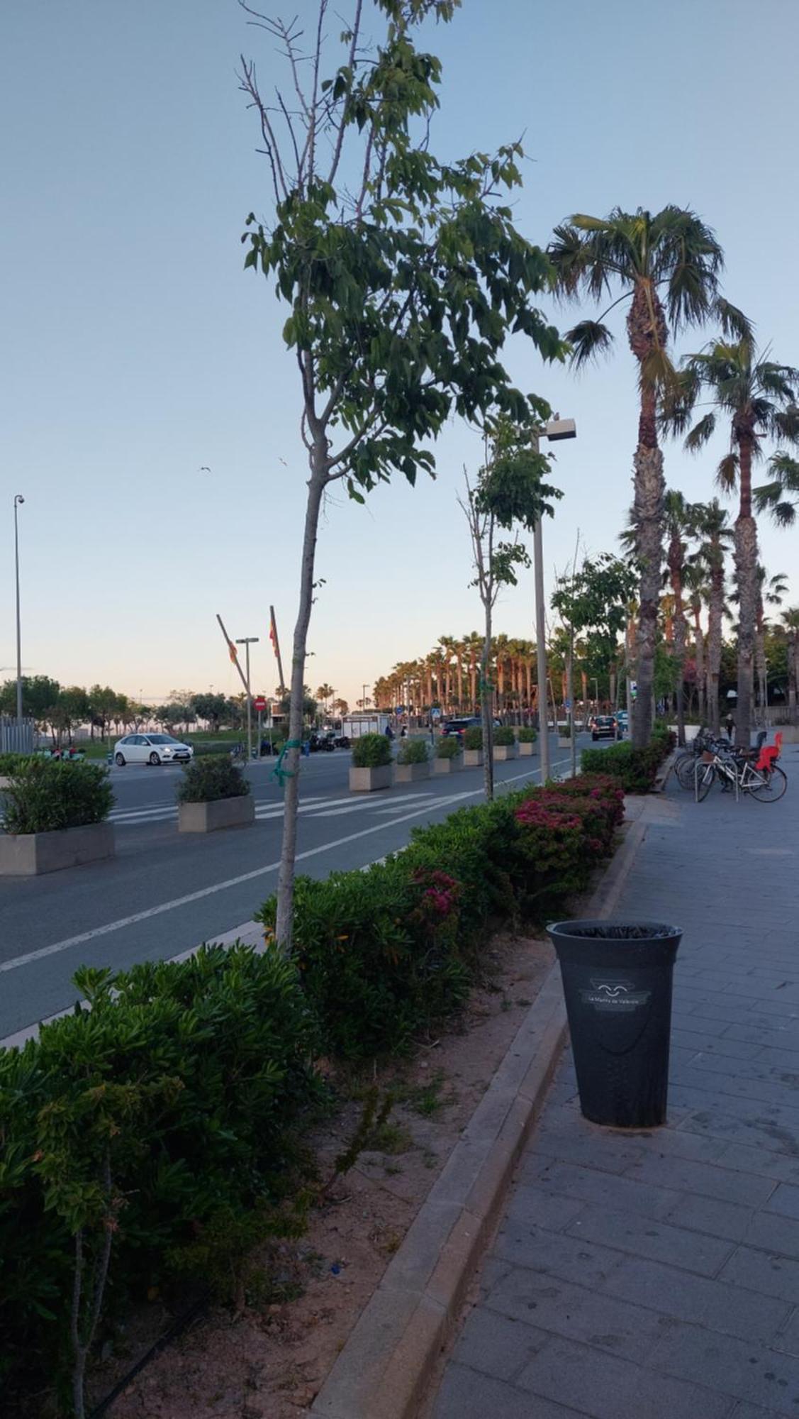 Lyesblb Aparthotel Valencia Exteriör bild